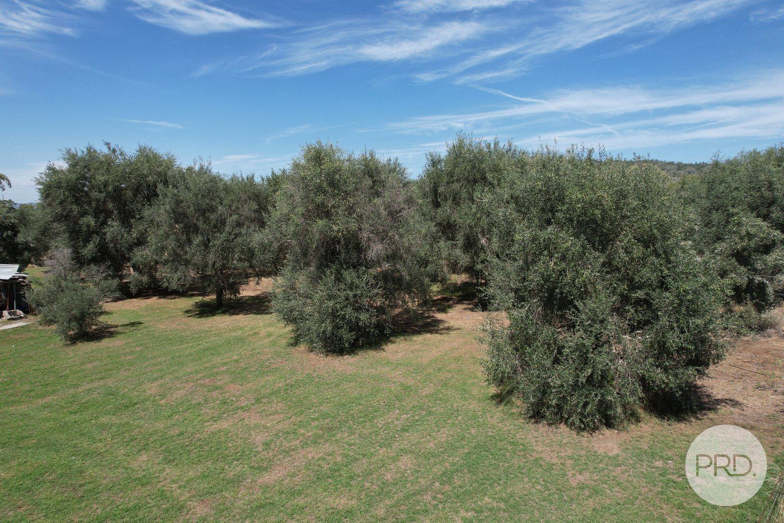 2/14 Edward Street BREEZA 25