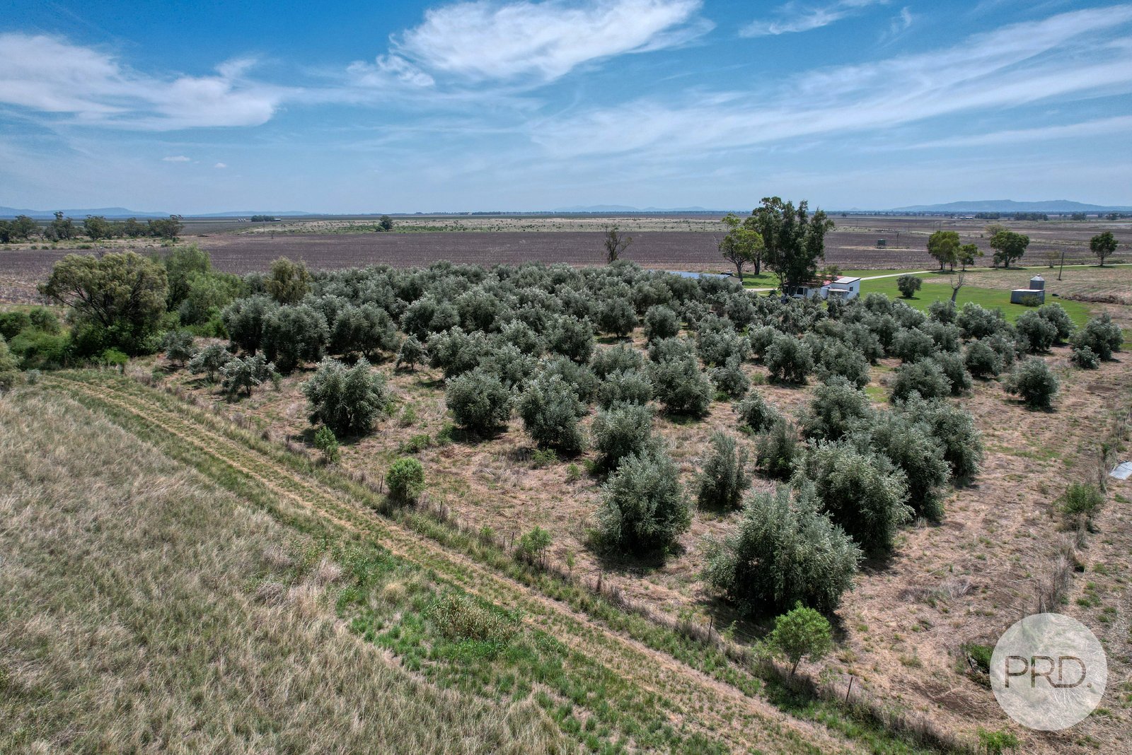 2/14 Edward Street BREEZA 26