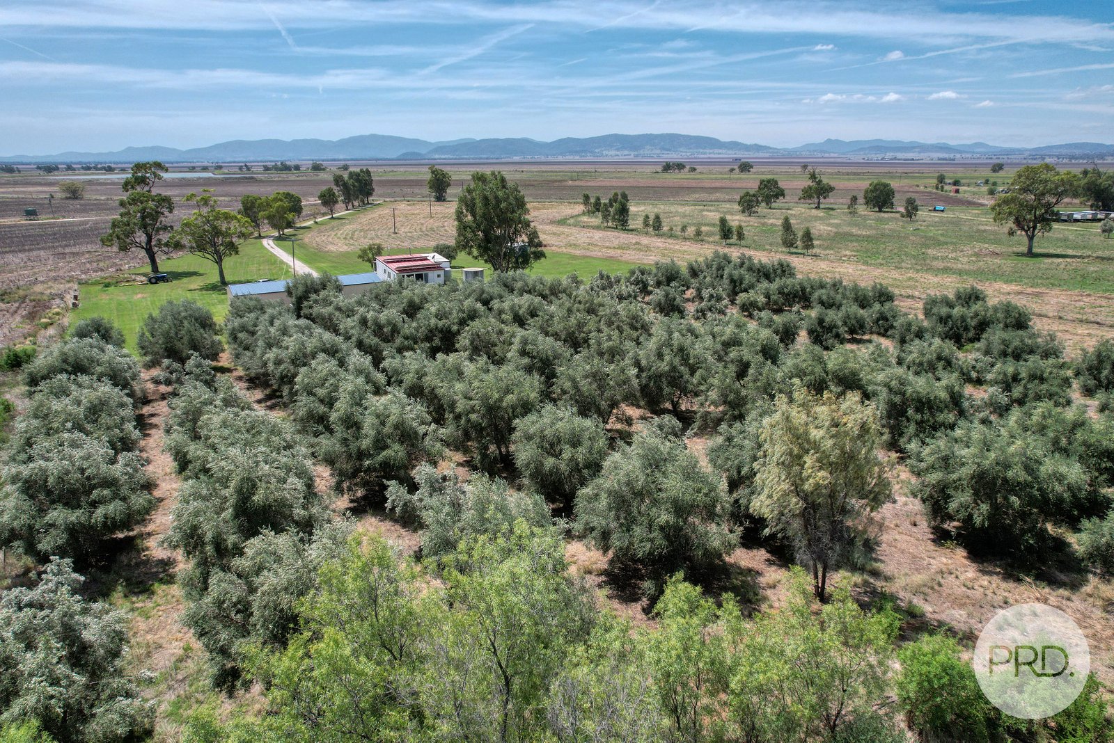 2/14 Edward Street BREEZA 27