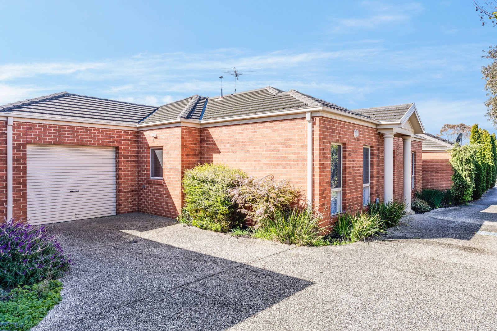 Gallery: 2/14 Francis Street