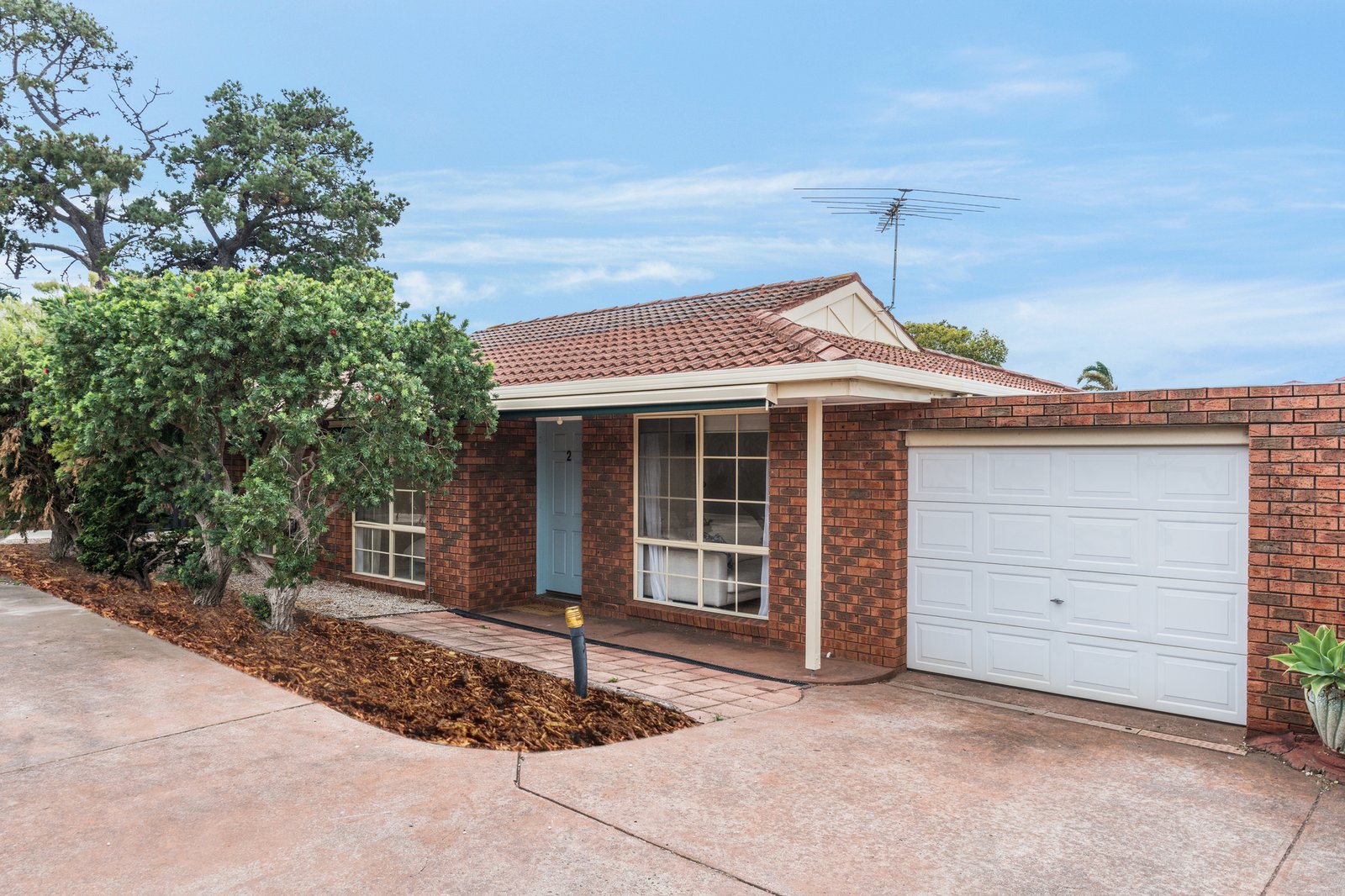 Photos: 2/145 Newcombe Street