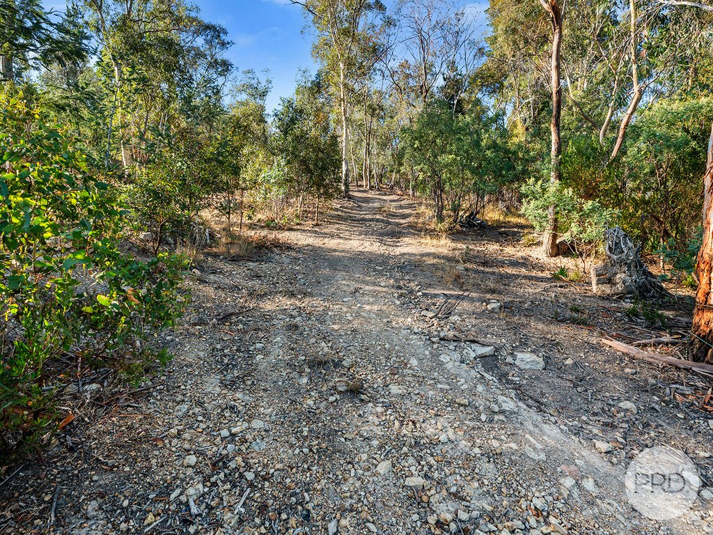 215 Abbotsfield Road CLAREMONT 5