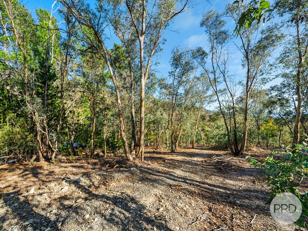 215 Abbotsfield Road CLAREMONT 8