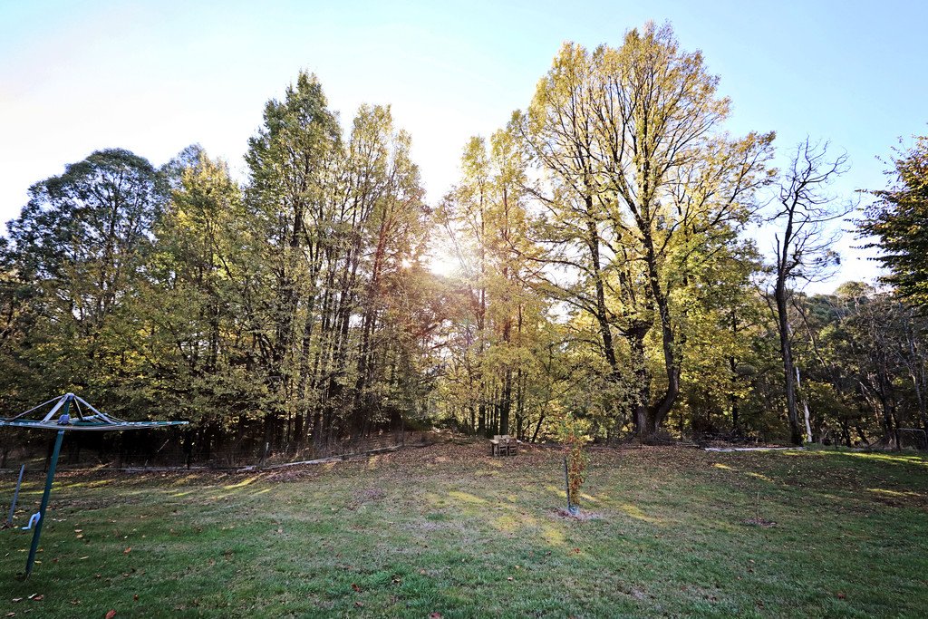 215 Bago Forest Road TUMBARUMBA 11