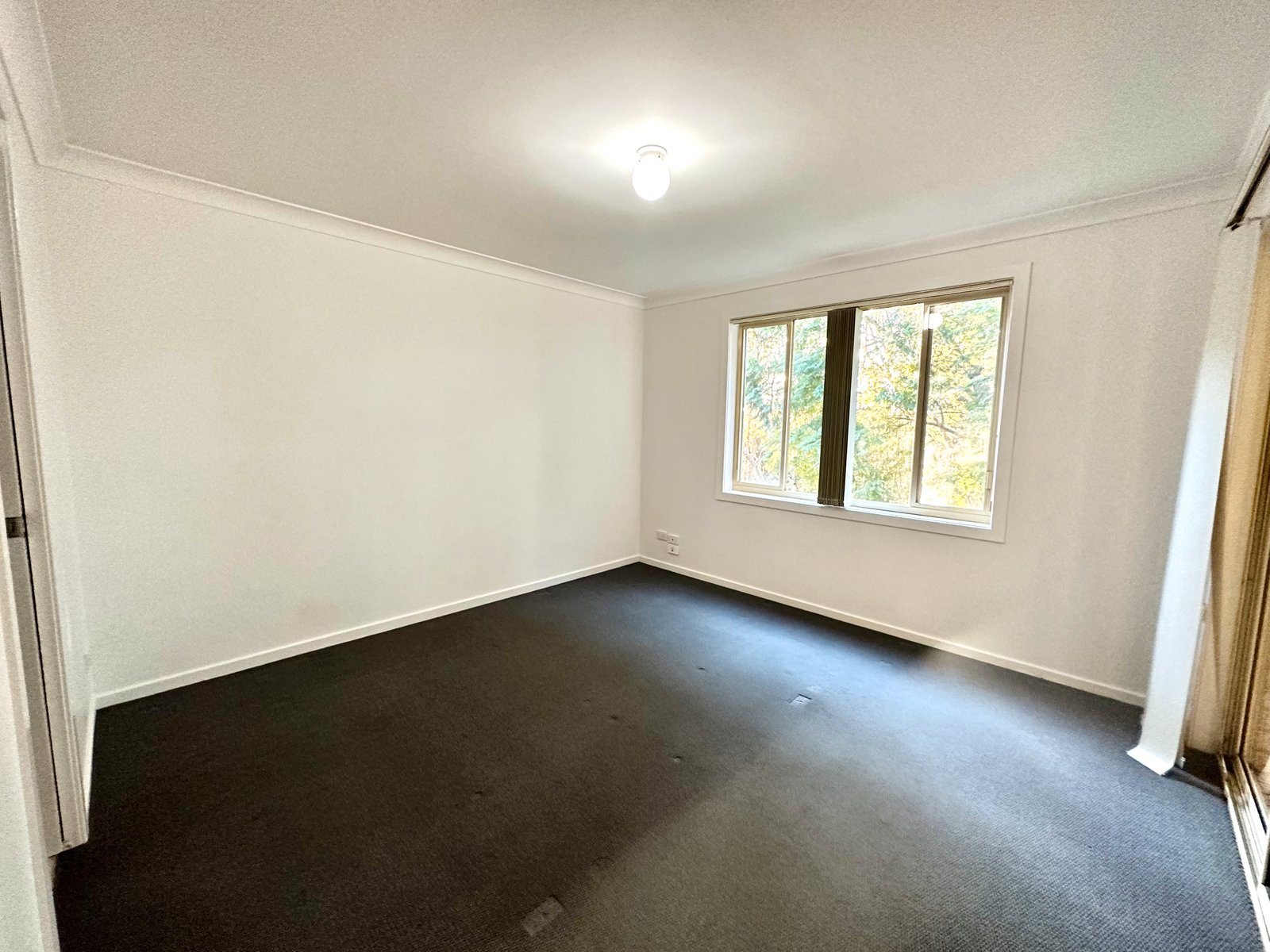 2/15 Hairtail Close CORLETTE 8