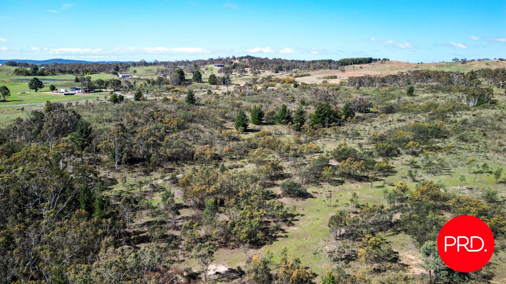 215 Wirreanda Road WAMBOIN 10