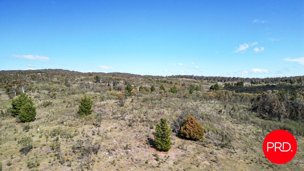 215 Wirreanda Road WAMBOIN 14