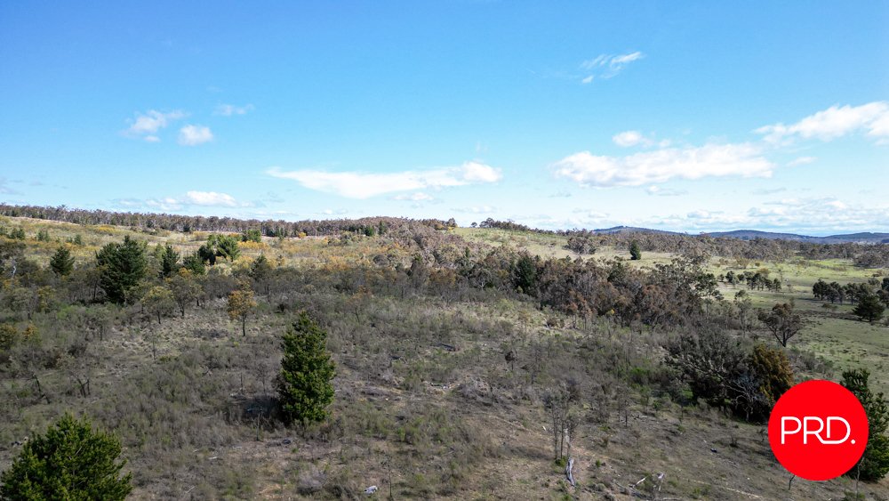 215 Wirreanda Road WAMBOIN 15
