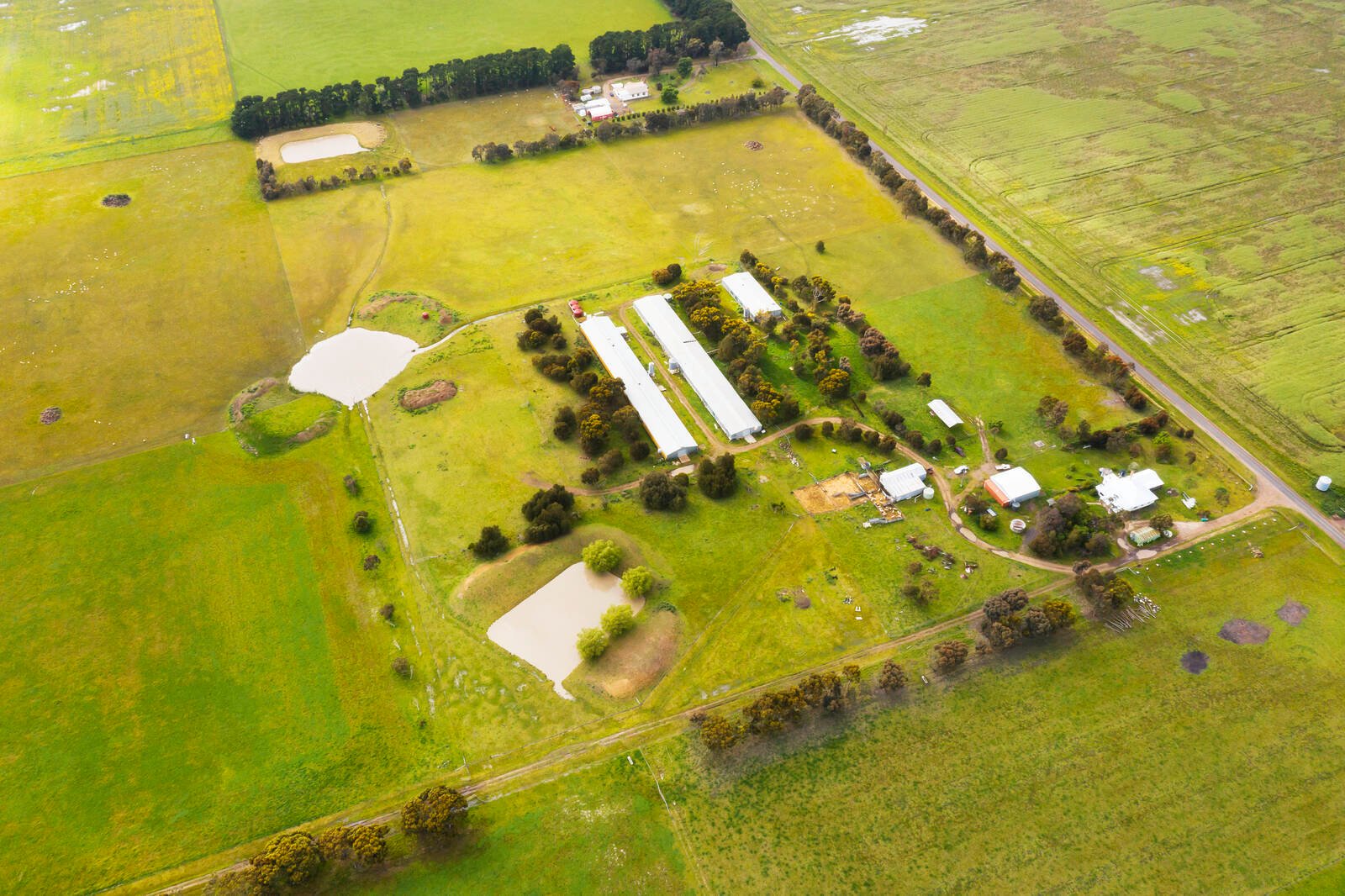 Real Estate and Property in 2150 Cressy Road, Ombersley, VIC