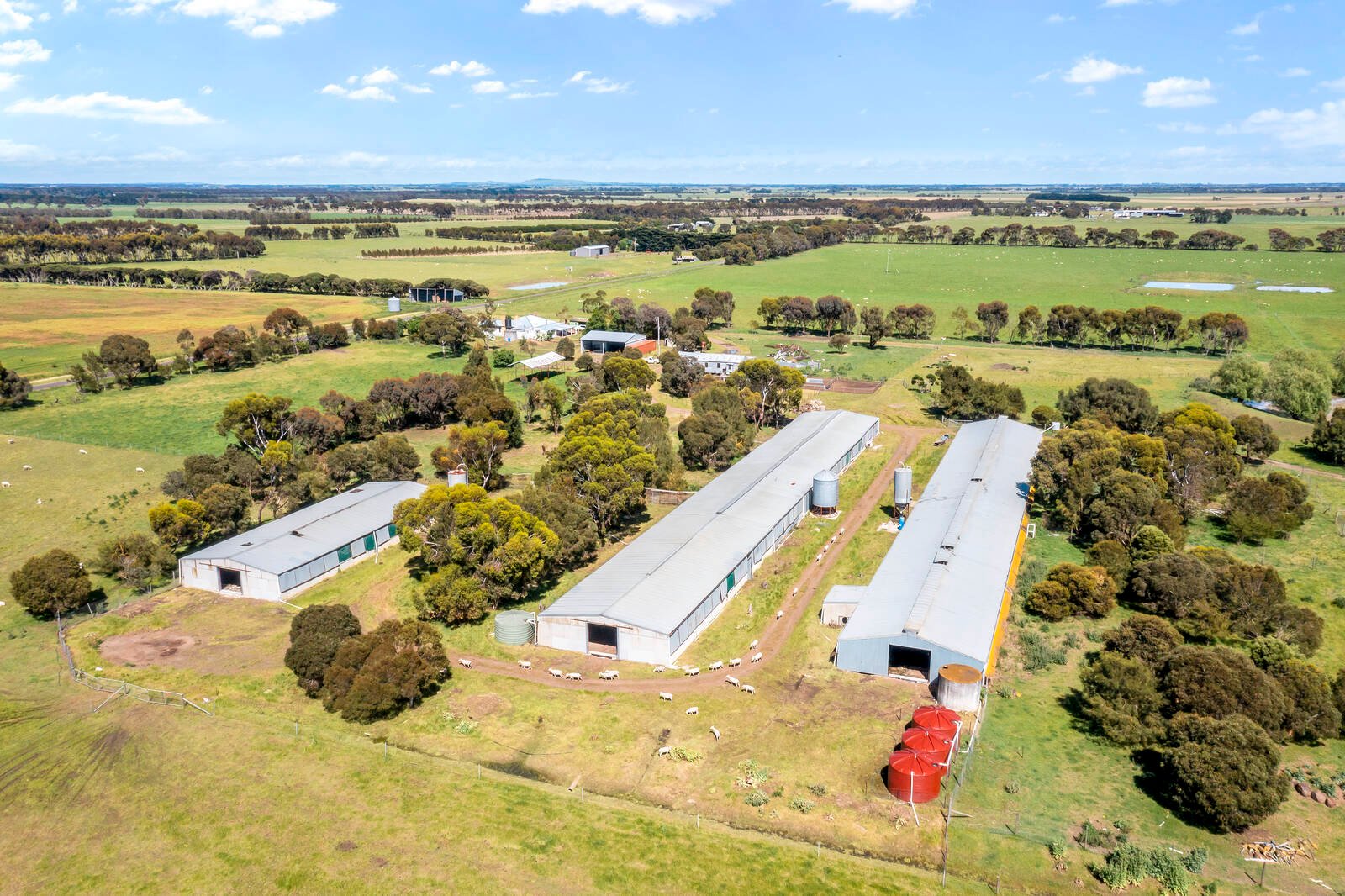 Real Estate and Property in 2150 Cressy Road, Ombersley, VIC