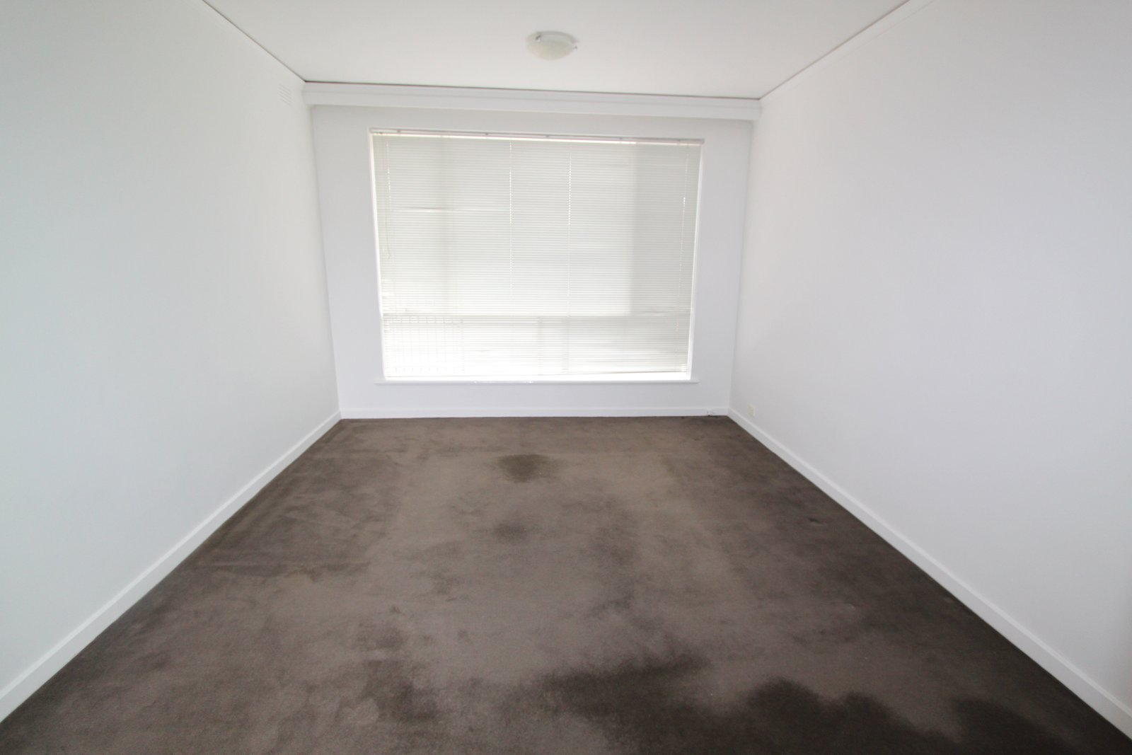 Real Estate and Property in 2/16 Coleridge Street, Elwood, VIC