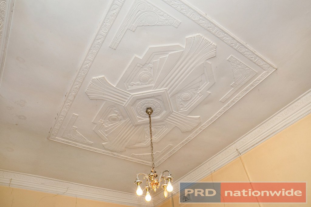 217 Clyde Street SOLDIERS HILL 7