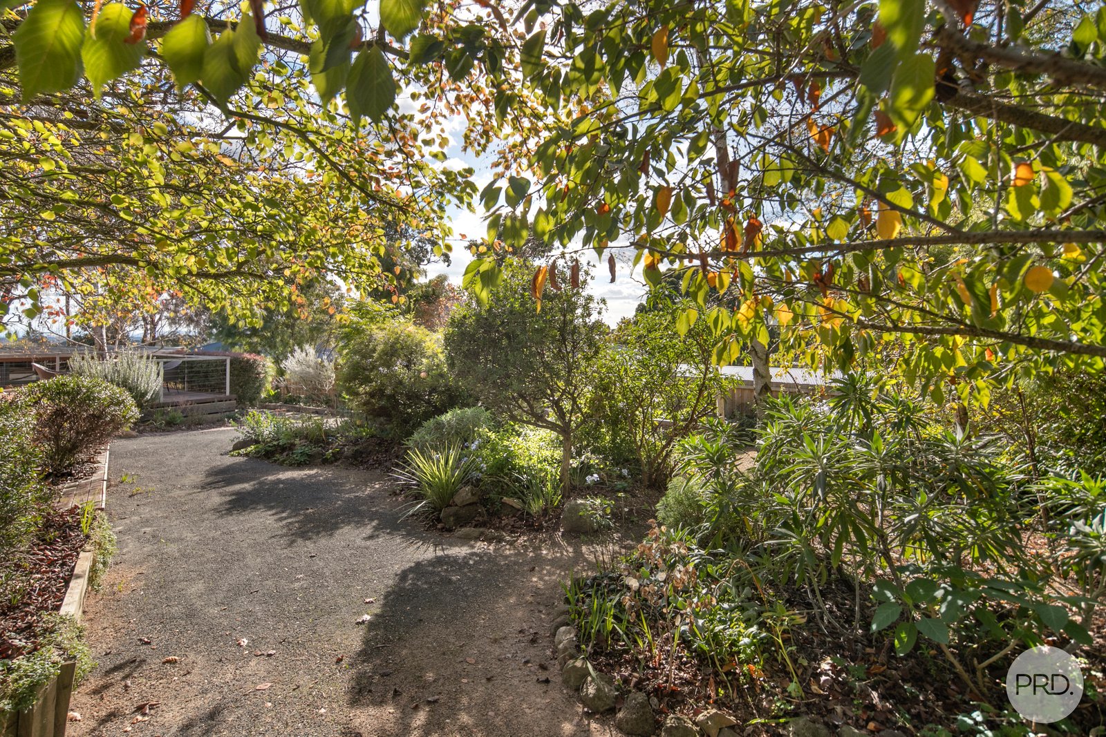 218 Simpson Street BALLARAT NORTH 20