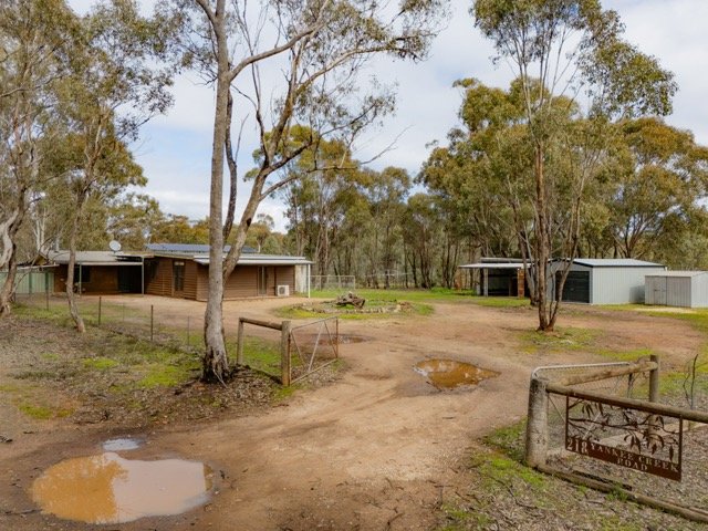 218 Yankee Creek  WELLSFORD 1