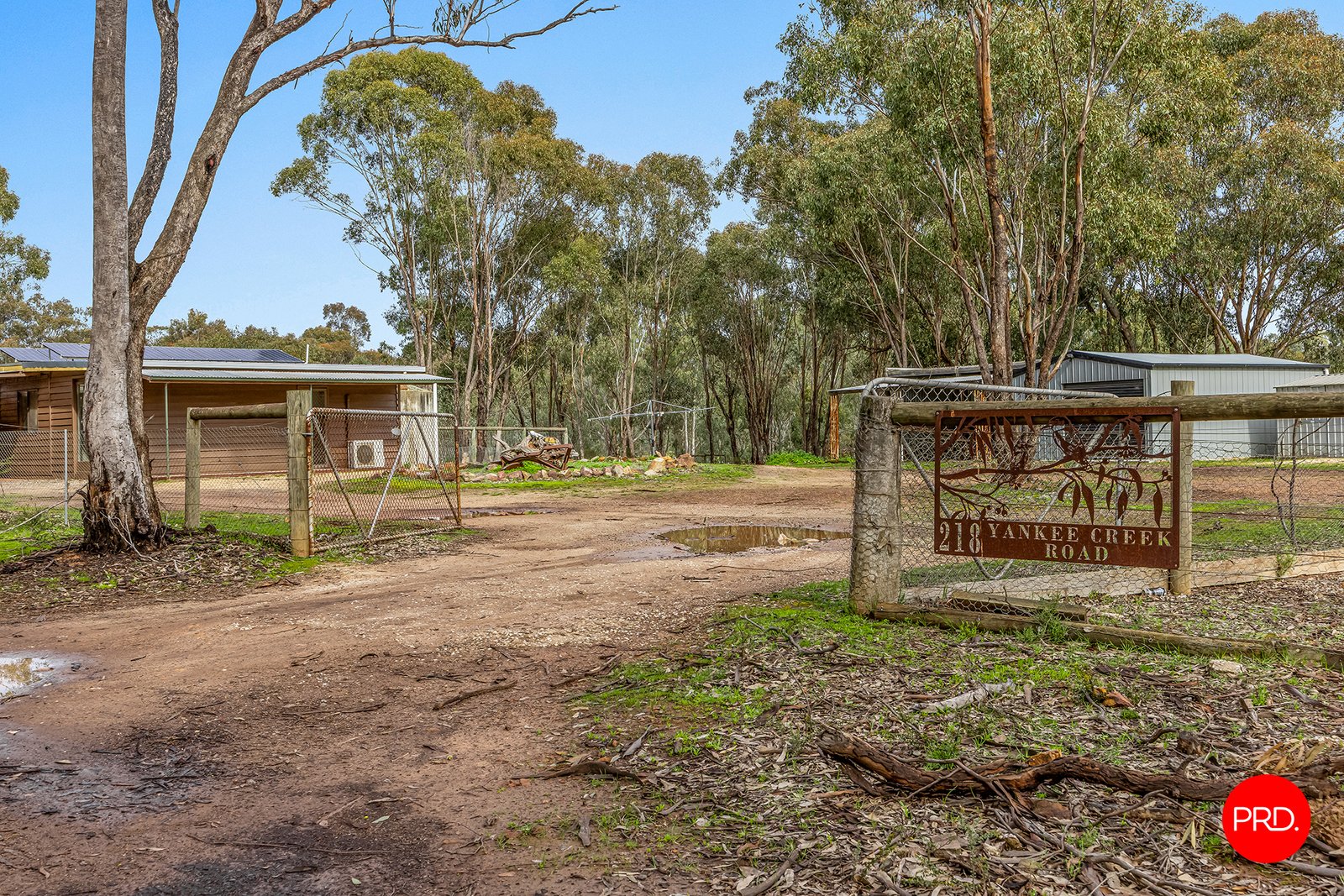 218 Yankee Creek  WELLSFORD 15