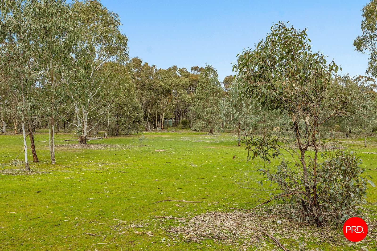 218 Yankee Creek  WELLSFORD 16