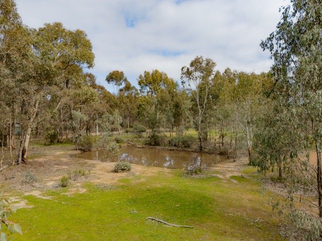 218 Yankee Creek  WELLSFORD 17