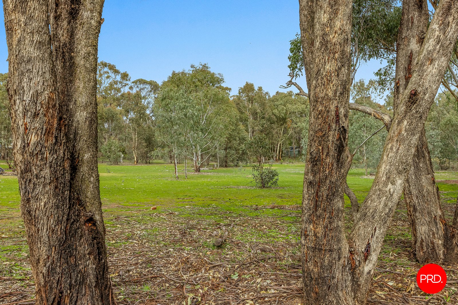 218 Yankee Creek  WELLSFORD 18