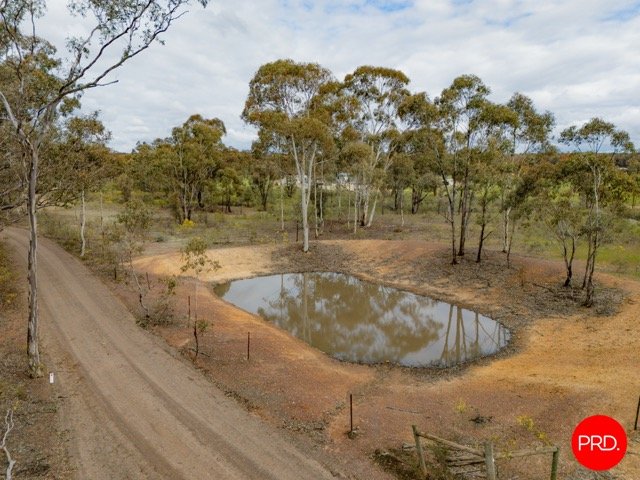 218 Yankee Creek  WELLSFORD 19