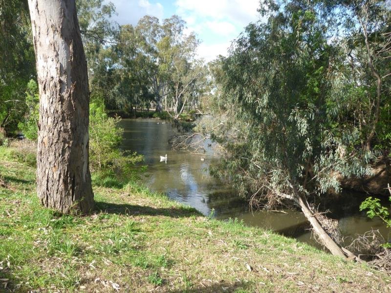 2/185 Forsyth Street WAGGA WAGGA 7