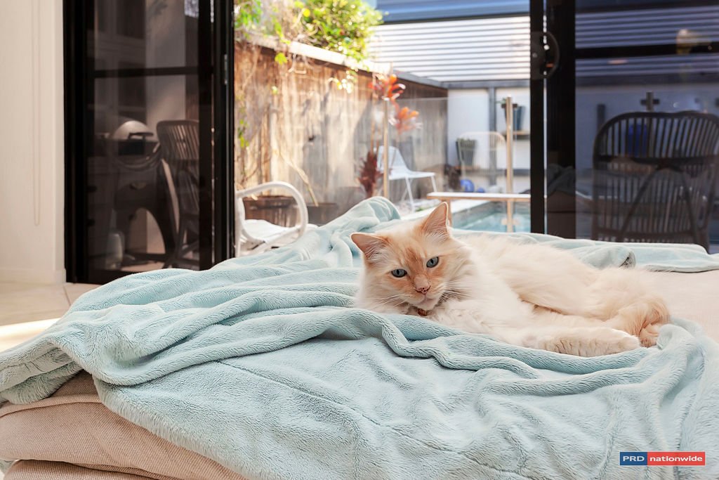 2/1890 Gold Coast Highway BURLEIGH HEADS 16