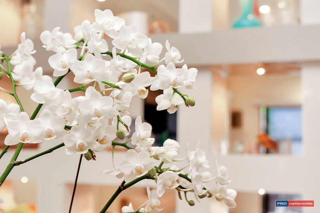 2/1890 Gold Coast Highway BURLEIGH HEADS 17