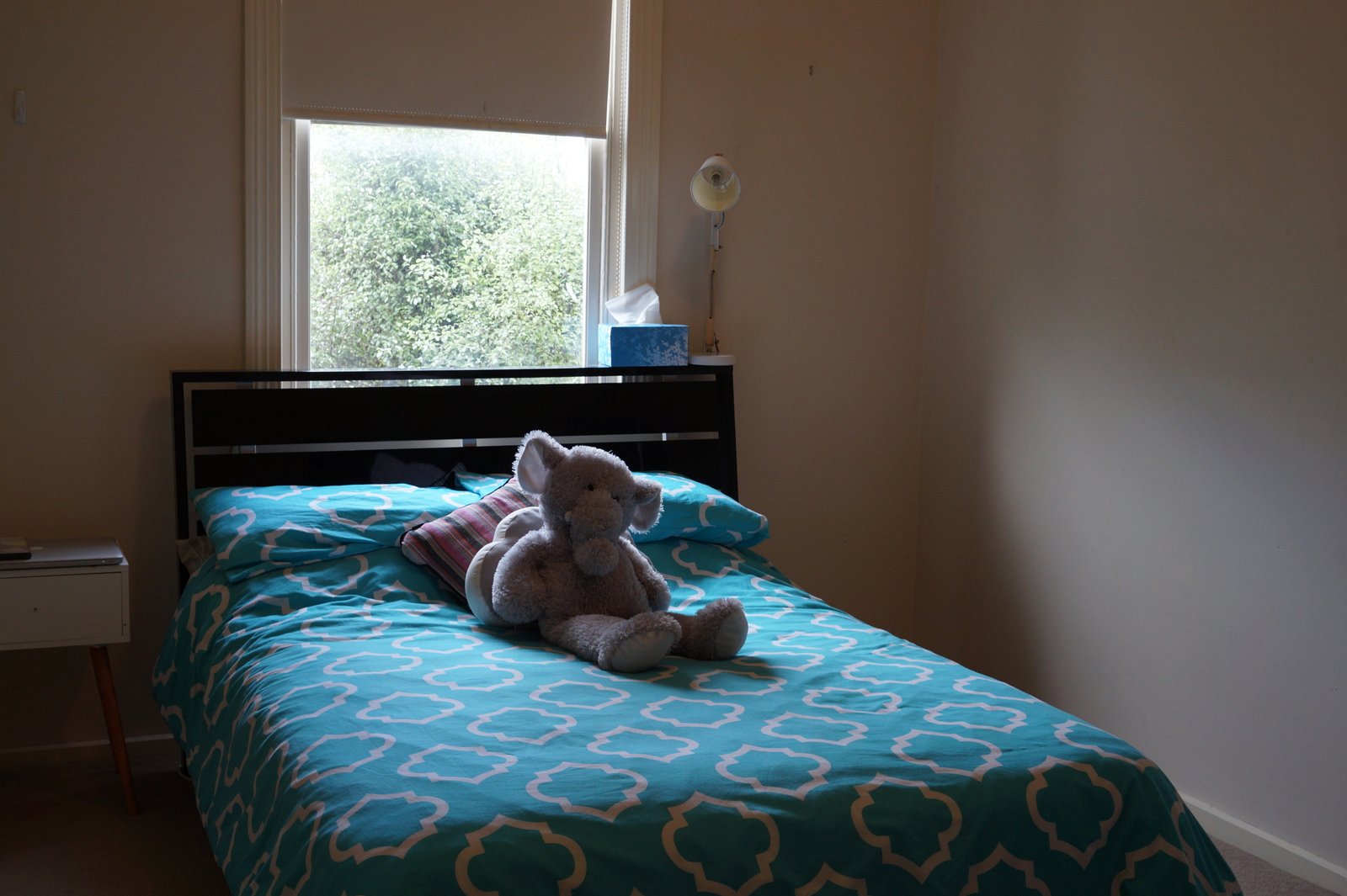 Gallery: 219 Bellerine Street