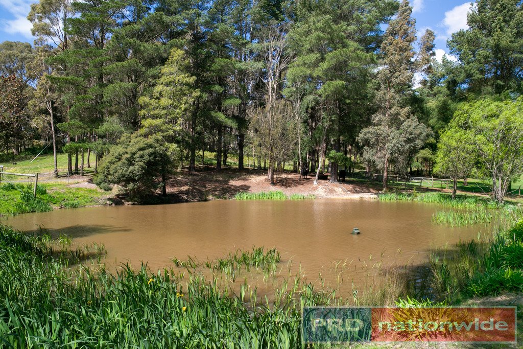 219 Clarendon Lal Lal Road LAL LAL 16