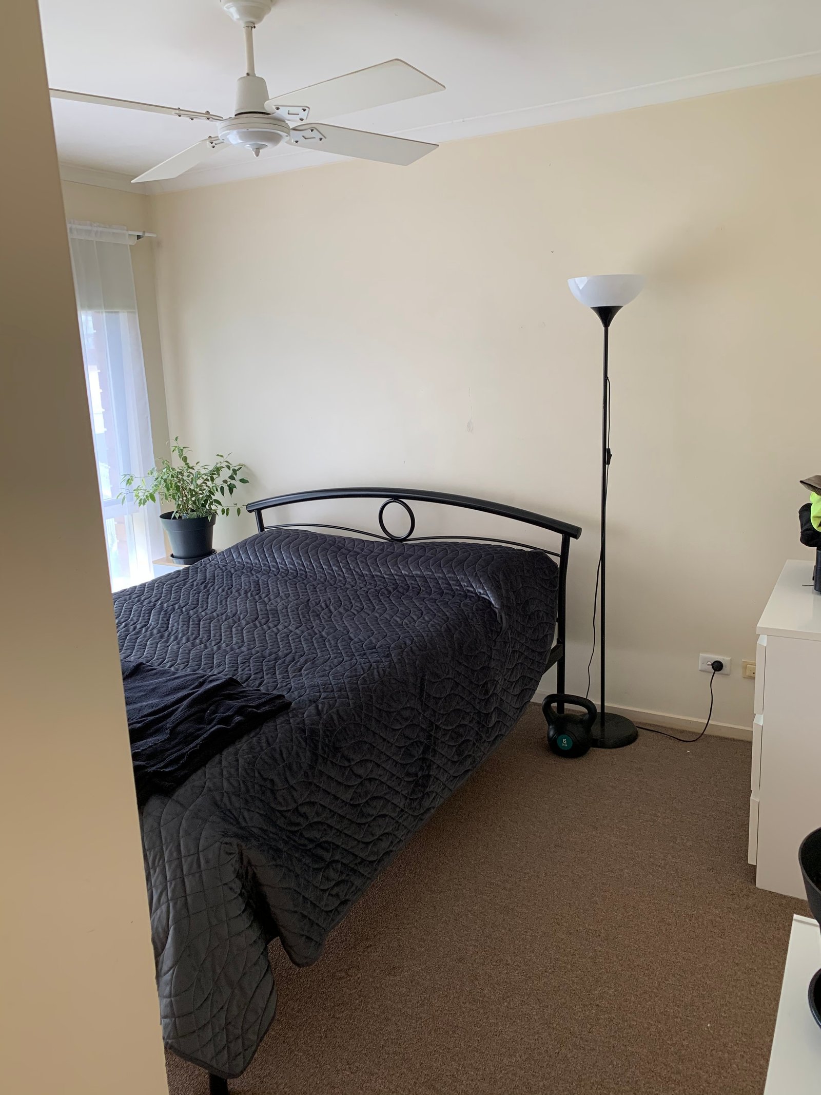 Gallery: 2/1B Elsie Avenue