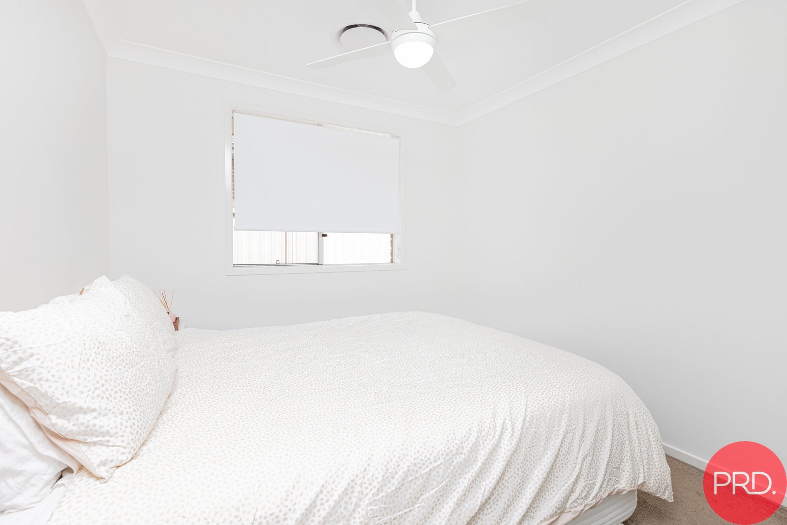 22 & 22A Isla Street RAWORTH 16