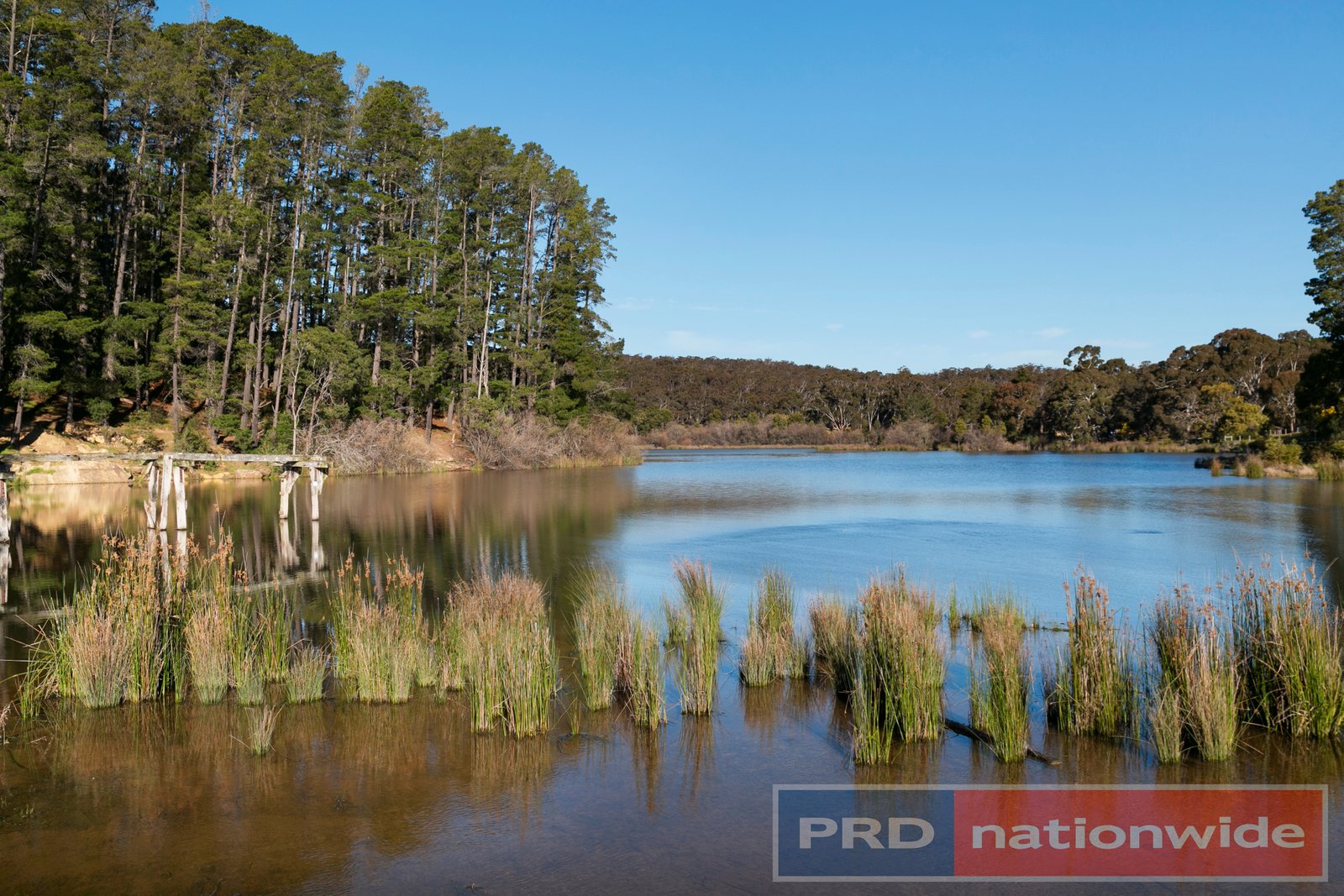 22 Bald Hills Road CRESWICK 8