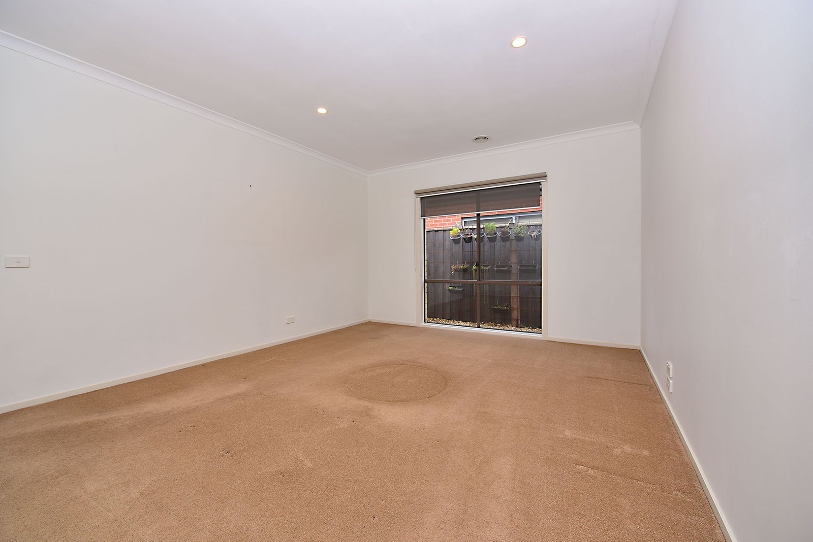 Gallery: 22 Beaufort Street