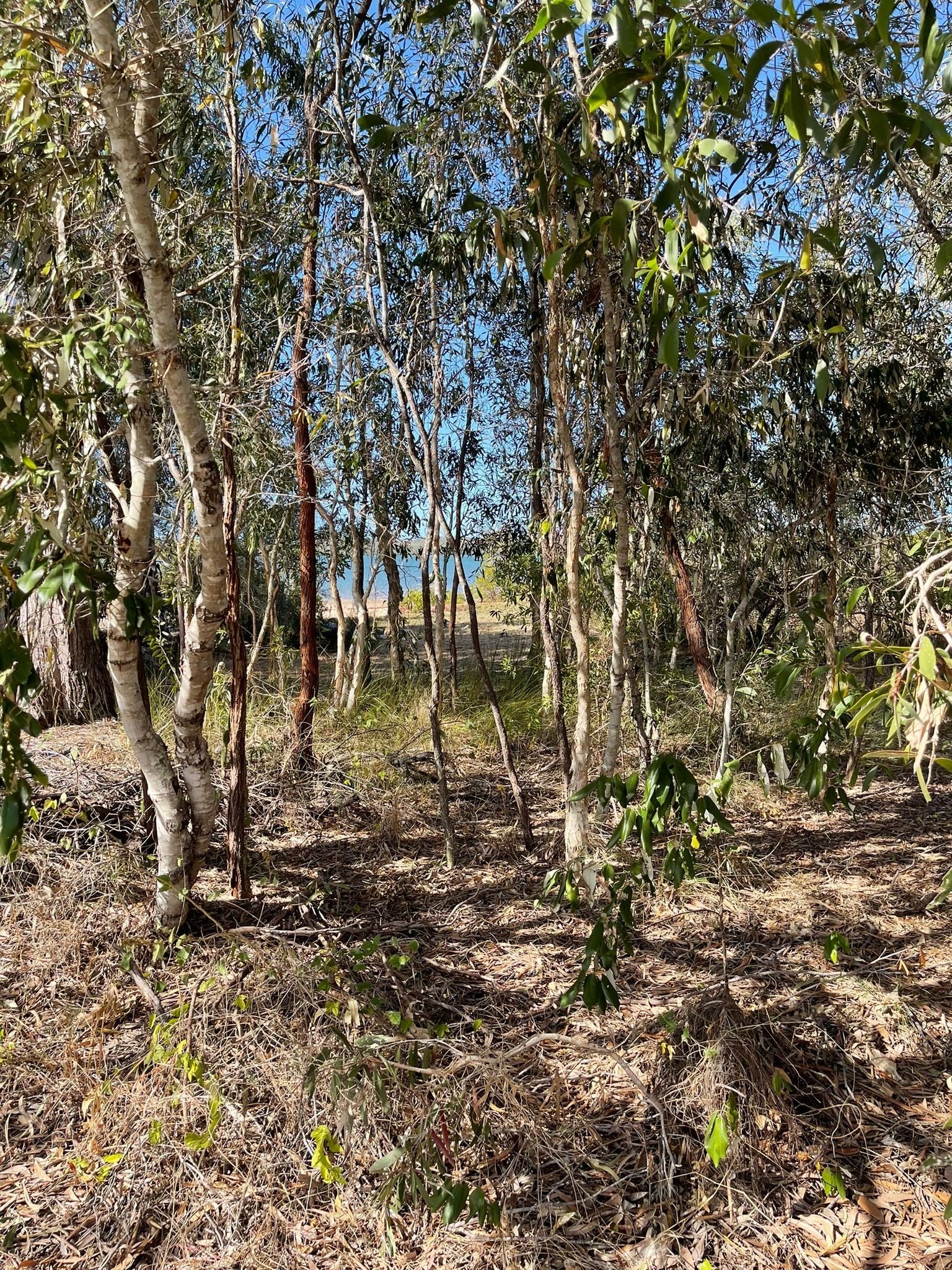 22 Bowton Street TURKEY BEACH 6