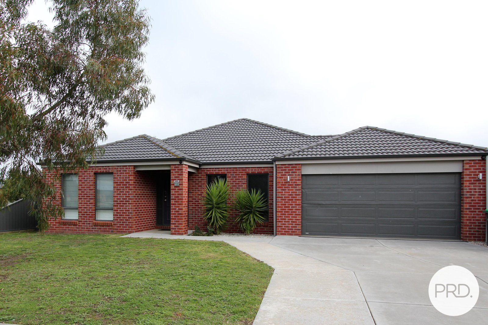 22 Brahman Drive DELACOMBE 1