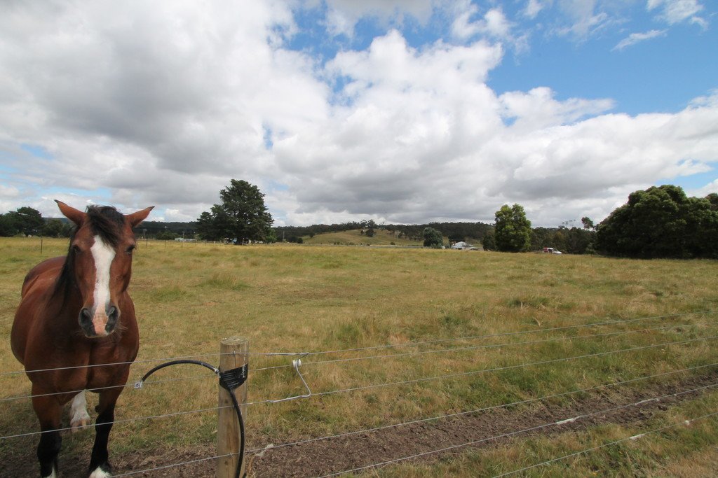 22 Careys Road SCARSDALE 2