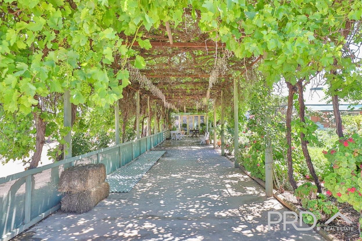 22 Cowanna Avenue YELTA 19