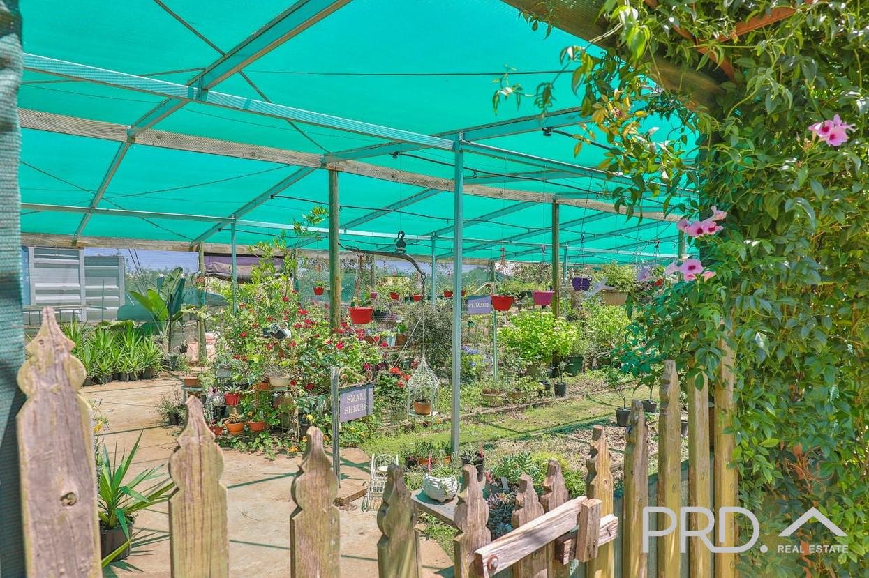 22 Cowanna Avenue YELTA 24