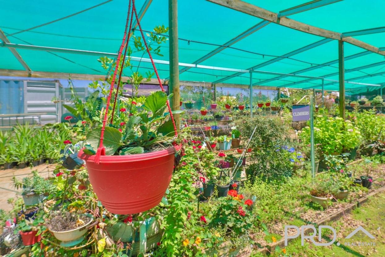 22 Cowanna Avenue YELTA 29