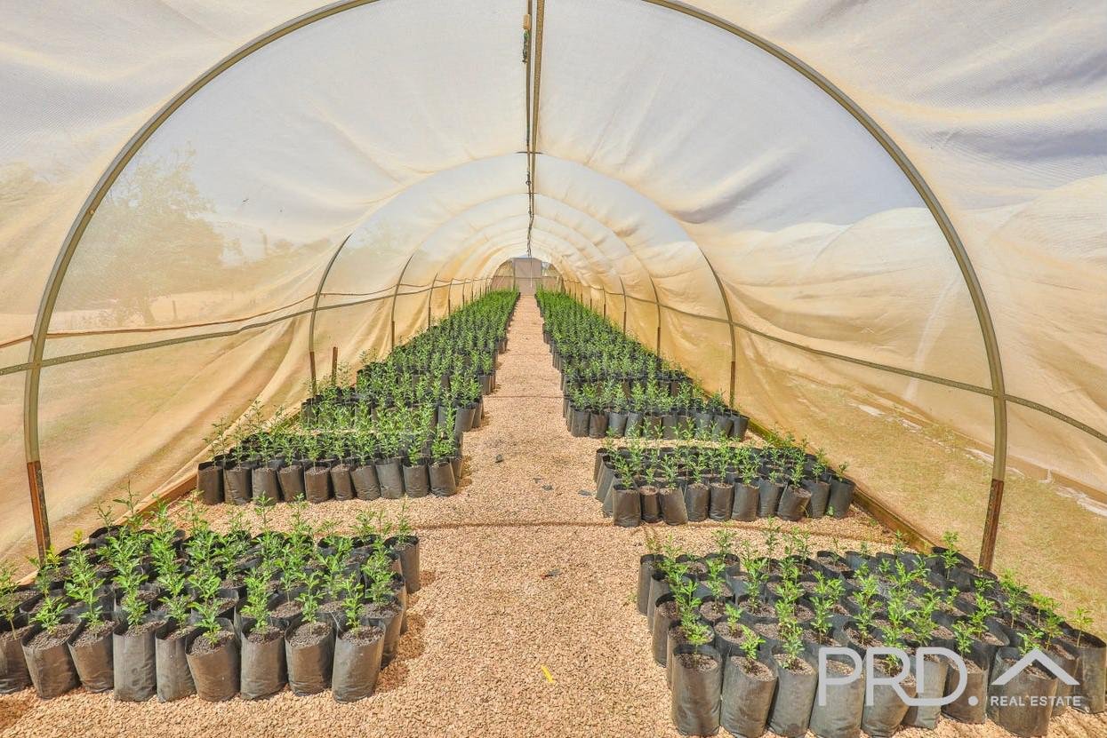 22 Cowanna Avenue YELTA 32