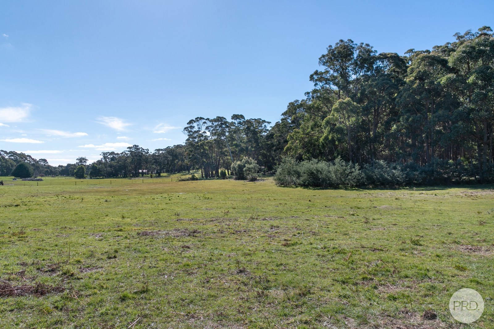 22 Currys Hill Road COOMOORA 17