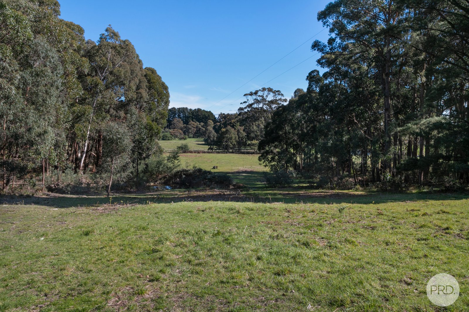 22 Currys Hill Road COOMOORA 21