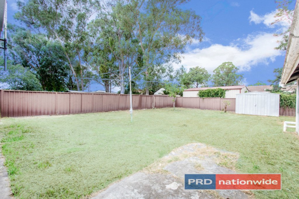 22 Dorset Street CAMBRIDGE PARK 12