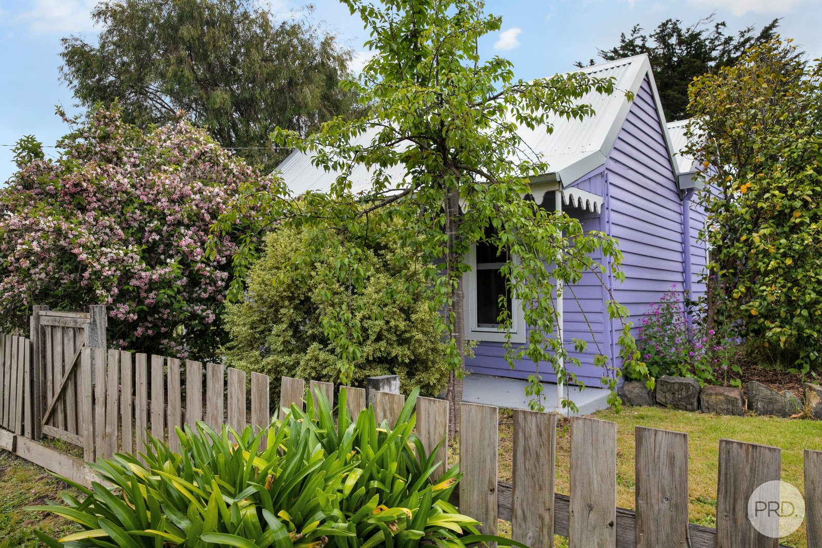 22 Elizabeth Street ALLENDALE 18