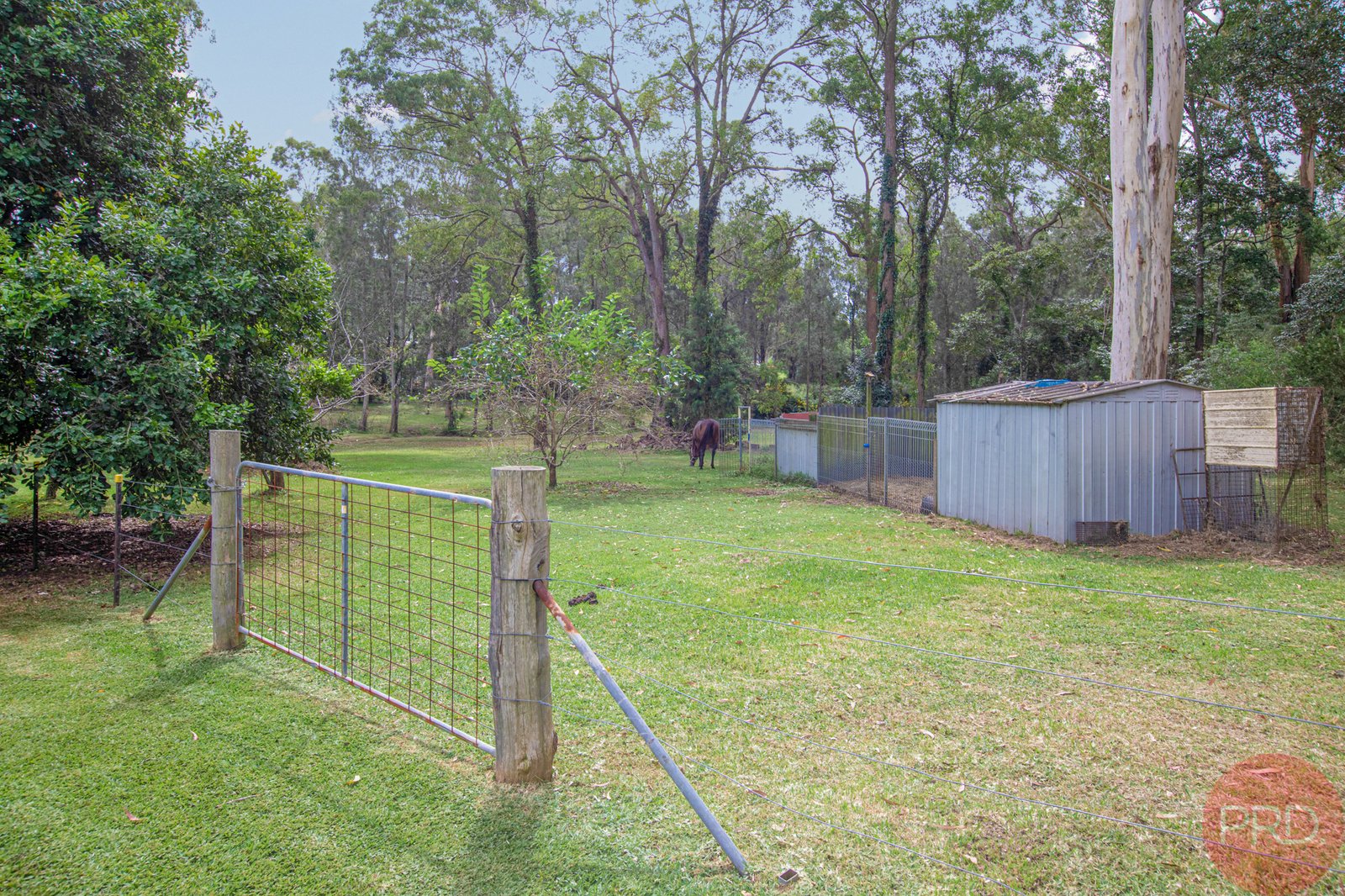 22 Elouera Close BRANDY HILL 30