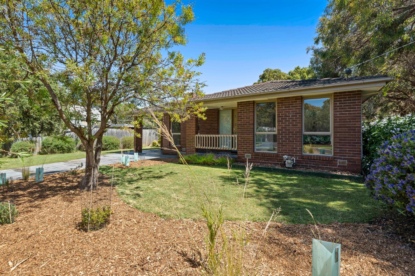 Gallery: 22 Ferguson Drive