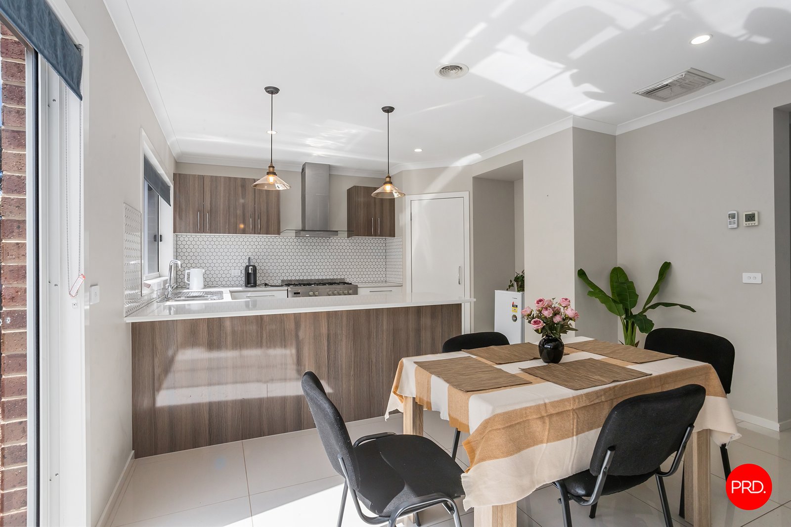 22 Lancaster Drive JACKASS FLAT 4