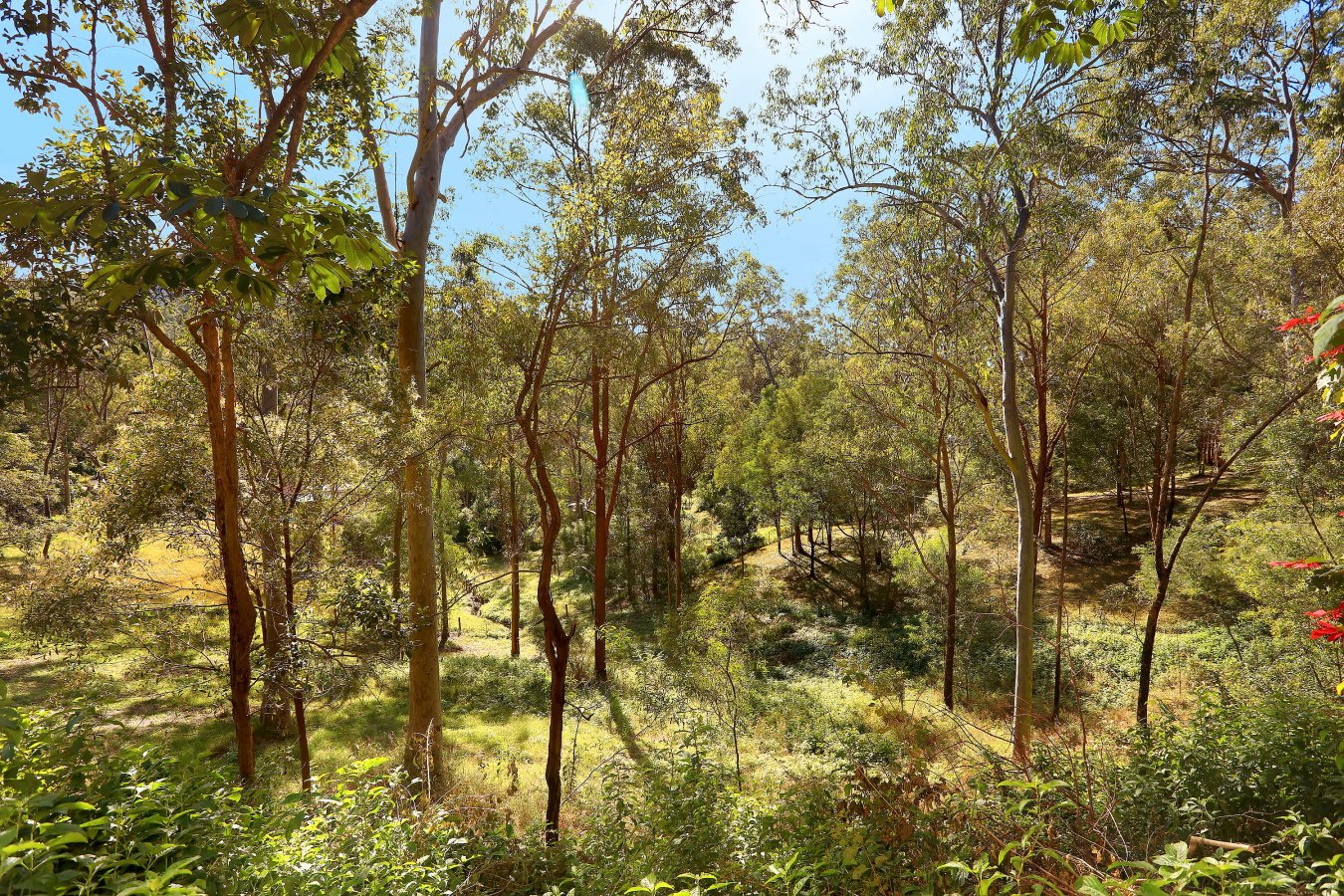 22 Pademelon Pass NERANG 17