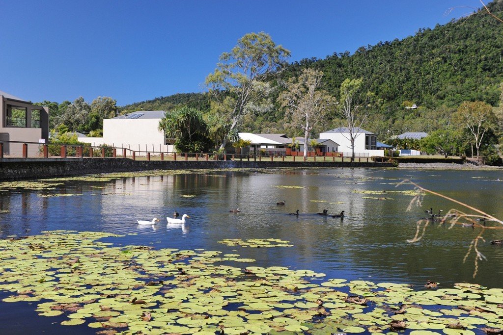 22 Parker Road CANNONVALE 4