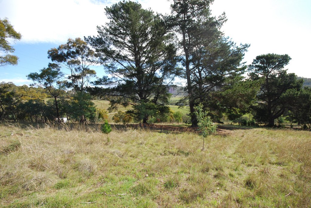 22 Poulters Road NEW NORFOLK 15