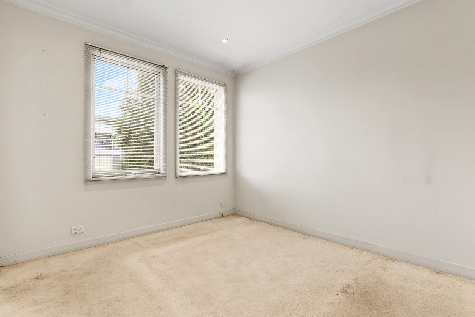 Gallery: 22 Raphael Street